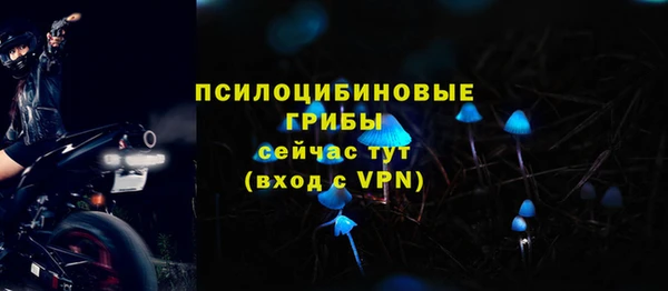мдпв Бугульма