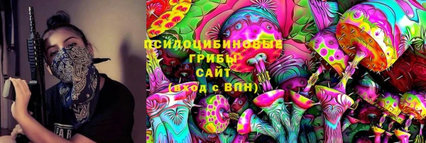 мдпв Бугульма
