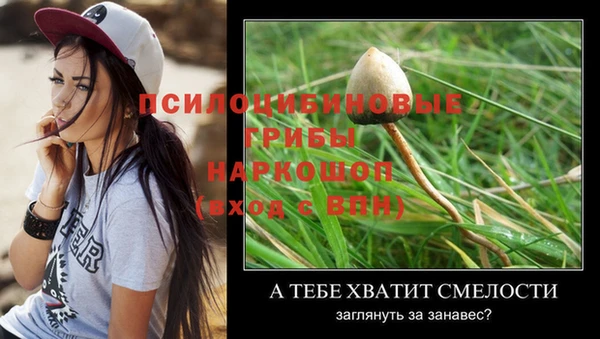 соль ск Бронницы
